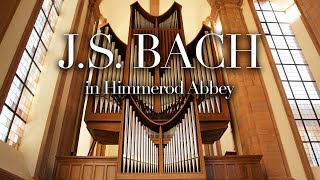 J.S. Bach in Himmerod Abbey