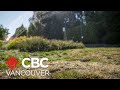 Metro Vancouver residents hit with $166K in fines during water restrictions