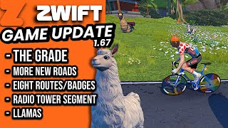 ZWIFT Game Update 1.67 // New Roads // The GRADE // LLAMAS! 🦙
