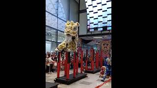 Lion Dance Hong Hui Mall Taiwan