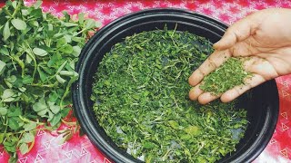 Kasuri Methi Instant Methi Micro Dry Methi