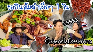 EP.427 ขอกินส้มตำเผ็ดๆคนเดียว1วันไม่มีใครกล้ากินด้วย55พี่ชินบอกว่าพี่ยังไม่อยากไปโรงพยาบาล ส้มตำโจ๊ะ