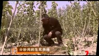 军事纪实 《军事纪实》 20120525 分秒间的生死抉择