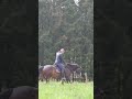 woran denkt ihr beim reiten. ich nichts … pferde wirgallopierenfürpüppi