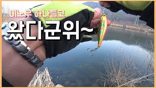 군위 위천 배스탐사 / 봄배스 미노우로 연속 뽑아내기!!