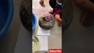 how to clean fish bowl मछली के गोले को एक साल बाद किया साफ लड़की ने