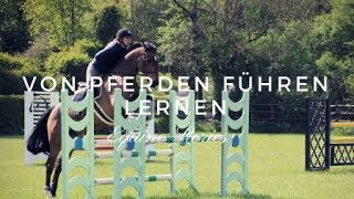 Von Pferden führen lernen | Wissen