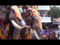 thechikottukavu ramachandran mass entry cheeram kulangara pooram