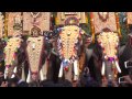 thechikottukavu ramachandran mass entry cheeram kulangara pooram