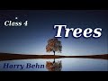 Trees by Harry Behn  Poem recitation for kids , Class 4| English poem @AnuArjun