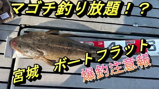 爆釣注意報!?　宮城ボートフラット