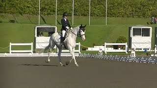 全日本ジュニア馬場馬術大会2018　チルドレンライダー選手権（決勝）　佐藤優希美　ハクバノイデンシ　インターアクションホースマンスクール