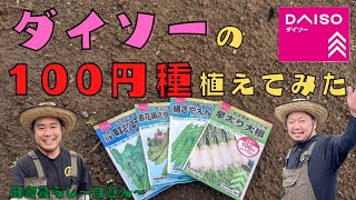 ダイソーで買ってきた種を植えます！！