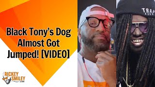 Black Tony’s Dog Almost Got Jumped!