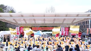 【よさこいチームかざみどり】第20回 京都さくらよさこい 2024