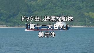 ドック出し綺麗な船体『第十二大日丸』柳井沖