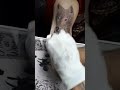 tattoo fail compilation link in comments tattoo tattoos fail fails failarmy