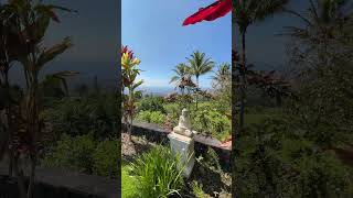 🌺 Hawai'i, Big Island 🇺🇸 #VIEWS ☀️ (KAILUA KONA SUNNY DAY 💚) ⛵#ASMR, #VOLCANO #SUN #4KVIEW #HAWAII