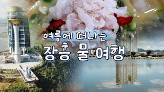 장흥 여름여행 코스-탐진강,토요시장,갯장어요리,부춘정,정남진전망대 [전국시대]