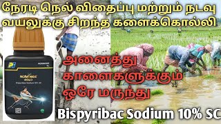 நடவு வயலுக்கு,நேரடி நெல் விதைப்புக்கு சிறந்த களைக்கொல்லி | paddy herbicide in Tamil | nominee gold