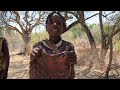 hadzabe tribe hunts and cooks porcupine in the wild 2024 hadza life