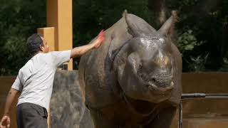 Mysore Zoo.Best Moment Captured.ಮೈಸೂರು ಮೃಗಾಲಯ #Mysore Dasara - Mysore || Karnataka || INDIA ||