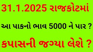 કપાસનું વાવેતર ઘટશે તો આ પાક મેદાન મારશે ? આ પાક નો ભાવ 5000 ને પાર ? Kapas. કપાસ. cotton.કપાસનો ભાવ