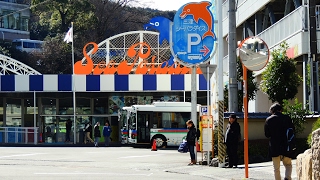 伊豆箱根バス　三津シーパラダイス⇒長岡駅　全線前面展望