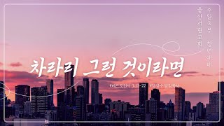 차차리 그런 것이라면 - 양영수 담임목사