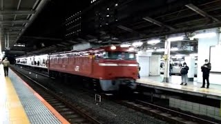 【205系500番台連結訓練返却回送】EF81-134単機返却回送池袋駅通過