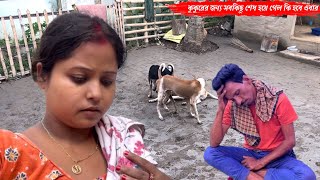 কুকুরের জন্য সবকিছু শেষ হয়ে গেল এখন কি হবে এবার🥹