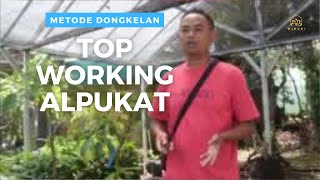 TOP WORKING TABULAMPOT ALPUKAT | SWY 01 | BELAJAR 8 MNT