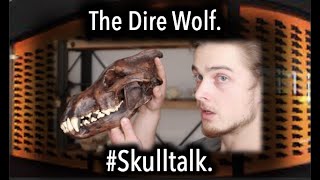 The Dire Wolf. #Skulltalk.