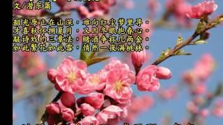 桃花谣 墨脉演唱