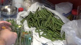 How to make and Can Dilly Beans -DIY Daddy