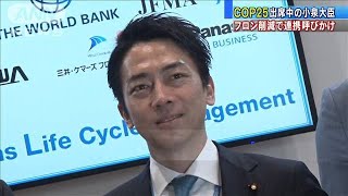 「COP25」で小泉大臣　フロン削減で連携呼びかけ(19/12/11)