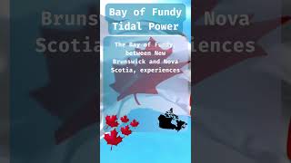 Bay of Fundy Tidal Power #idk #ididntknow #fact #facts #canada #idkcanada