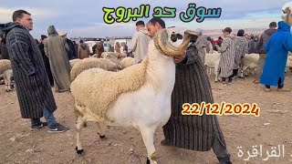 سوق حد البروج 22 دوجنبر 2024 اقليم سطات مع ثمن #🐏_🐑 فردجة ممتعة🇲🇦