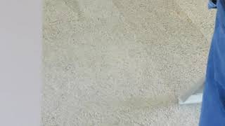 Xtreme Carpet Cleaning fond du lac 54935