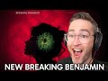 Breaking Benjamin - Awaken REACTION