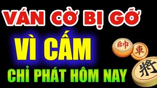 Cờ tướng hay một kiểu đánh cờ cao thủ cũng sợ tốt thắng xe