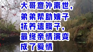 大哥意外离世，弟弟帮助嫂子抚养遗腹子，最终亲情演变成了爱情 - 情感故事 2023