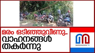 ട്രെയിൻ യാത്രക്കാരുടെ വാഹനങ്ങളാണ് തകർന്നത്  I  thalassery railway station