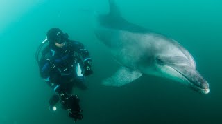 尾鷲　水中プロモーション