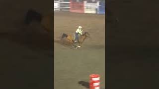 Fast Horse knocks barrel down in the race #shorts