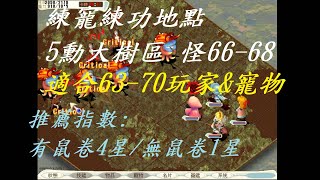 【懷舊網路遊戲】魔力寶貝Cross Gate 雙子伺服器 - 練寵練功地點 | 5等勳章 大樹區 | 適合等級63-70【Vin】