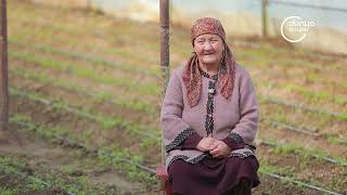 Bekobodda etishtirilayotgan  sitrus mevalar Dunyo bo'ylab telekanali Agrotur ko'rsatuvida