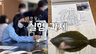 전공수업...듣기 싫다ㅣ💣과제폭탄l금공강송ㅣ시험기간ㅣ제주대학교ㅣ대학생브이로그