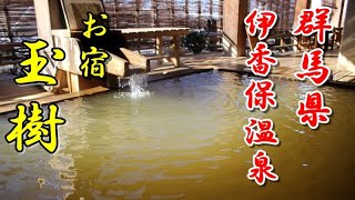 【伊香保温泉 お宿 玉樹】群馬県伊香保温泉 黄金湯