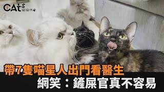 生涯最大挑戰！一次帶7隻喵星人出門看醫生　網笑：鏟屎官真不容易－全民話燒